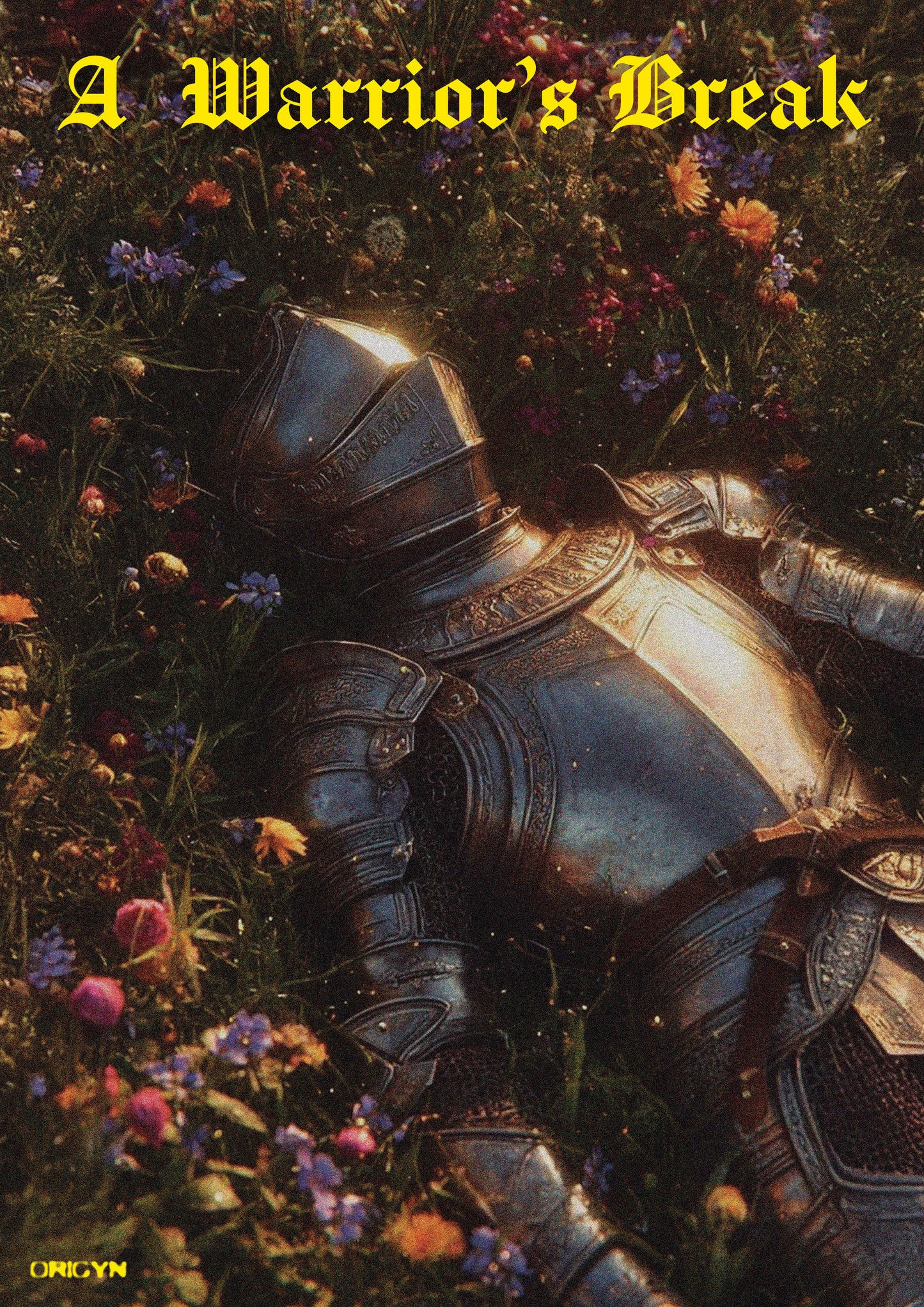 A Warrior's Break